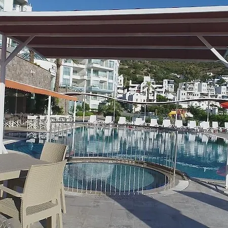 Hawthorn-karaca 5*